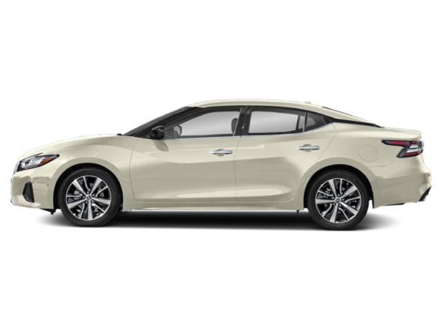 used 2019 Nissan Maxima car
