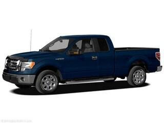 used 2011 Ford F-150 car