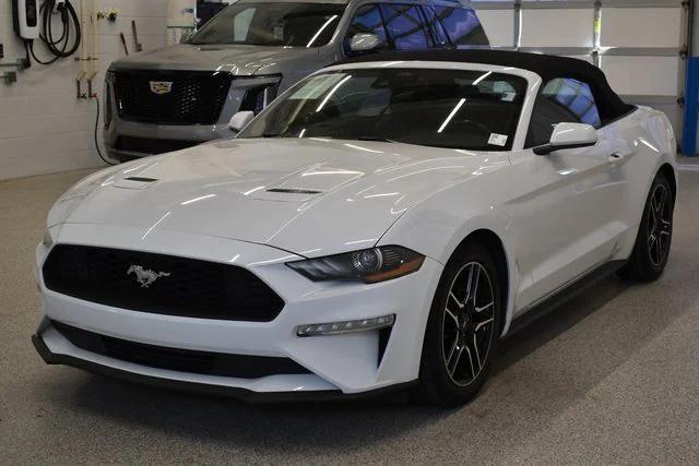 used 2022 Ford Mustang car, priced at $19,498