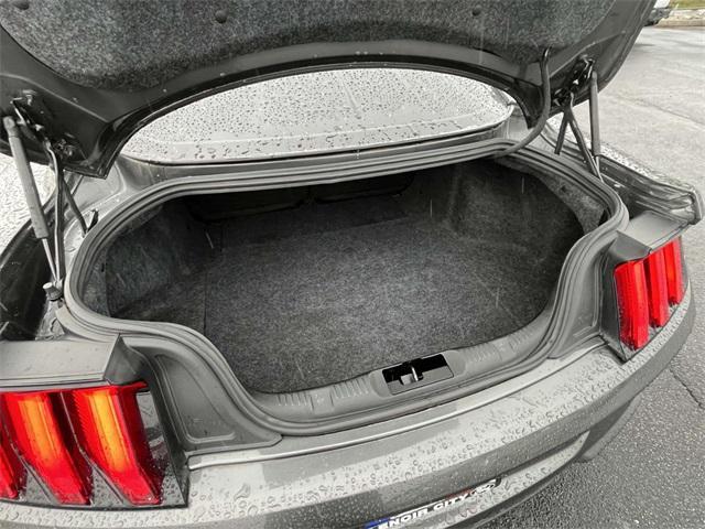 used 2019 Ford Mustang car, priced at $32,900