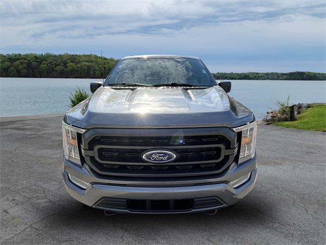 used 2021 Ford F-150 car, priced at $33,900