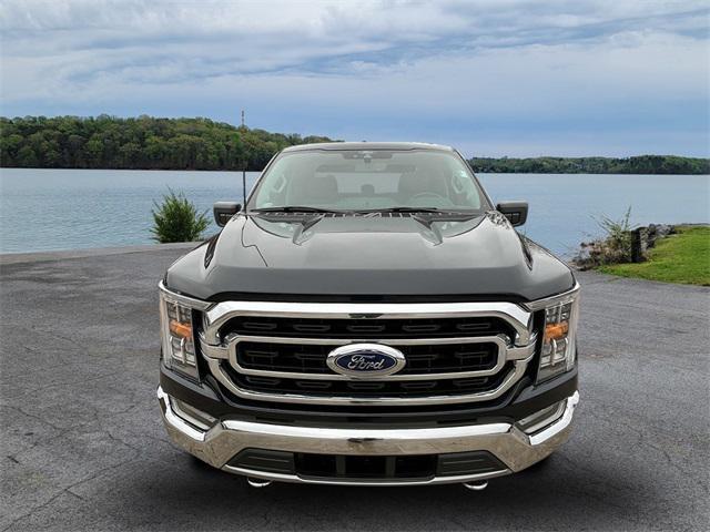 used 2021 Ford F-150 car, priced at $37,900