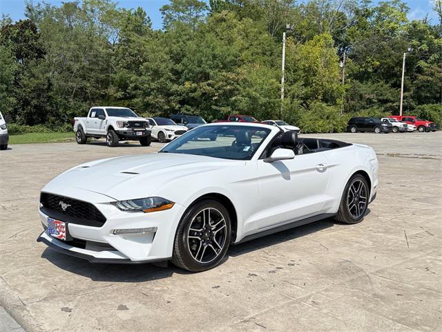 used 2022 Ford Mustang car, priced at $22,900