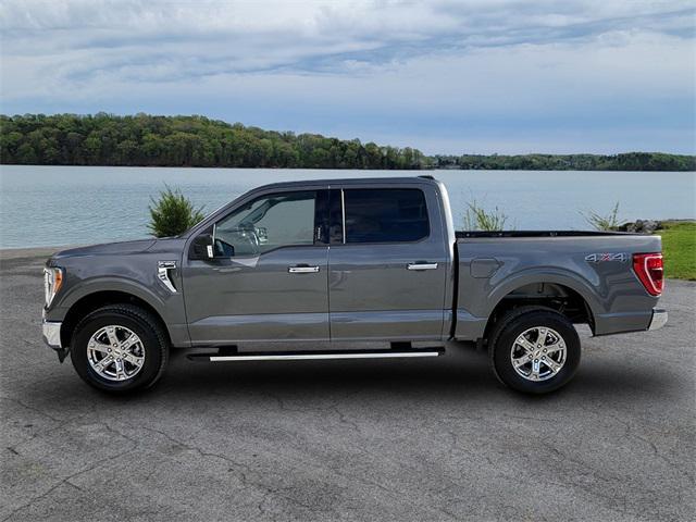 used 2023 Ford F-150 car, priced at $47,900