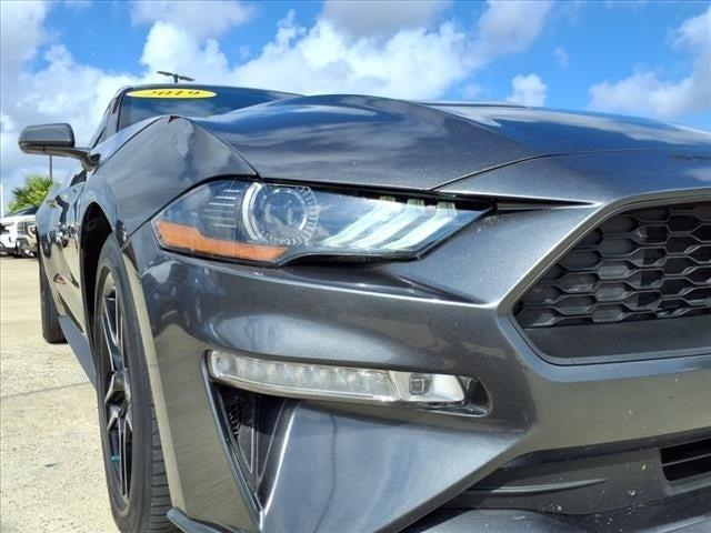 used 2019 Ford Mustang car, priced at $22,894