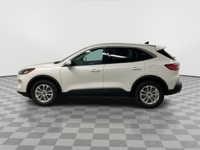 used 2020 Ford Escape car