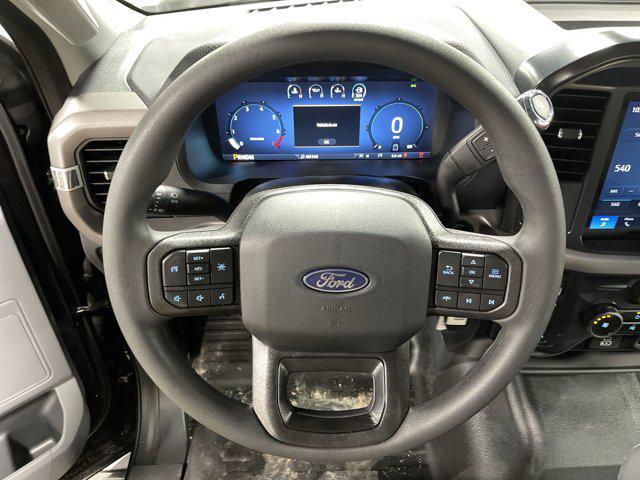 new 2025 Ford F-150 car, priced at $45,493