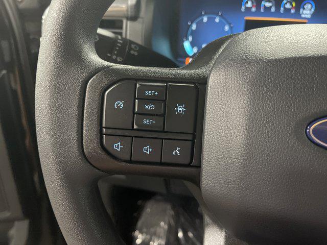 new 2025 Ford F-150 car, priced at $47,214