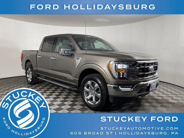 used 2021 Ford F-150 car, priced at $36,497