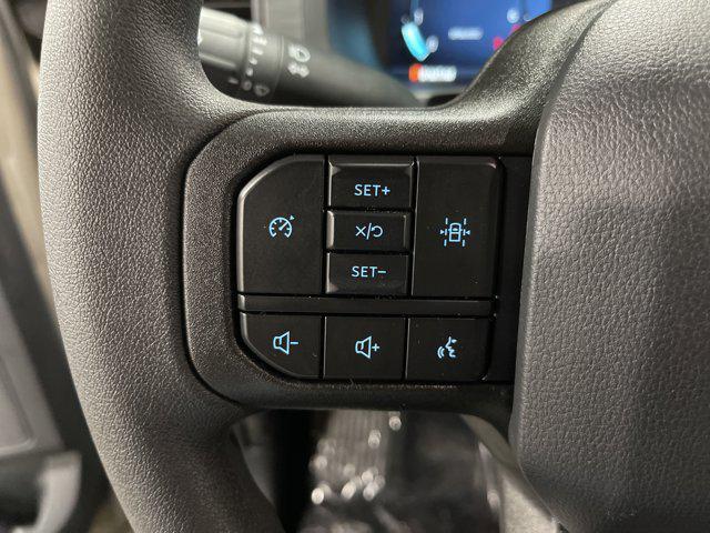 new 2025 Ford F-150 car, priced at $48,169