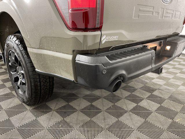 new 2025 Ford F-150 car, priced at $48,169