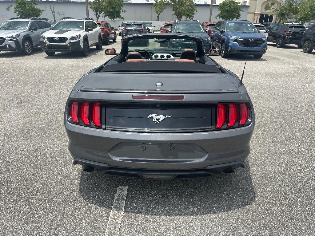 used 2021 Ford Mustang car, priced at $20,000