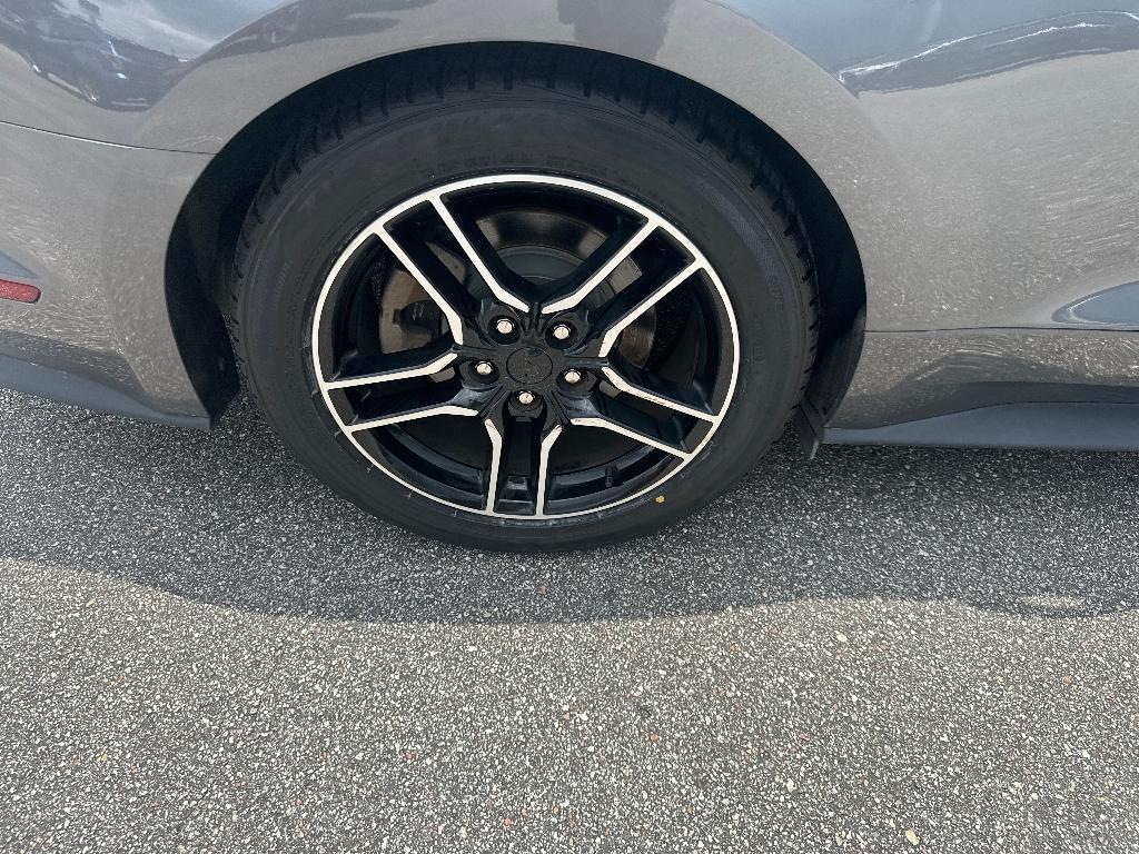 used 2021 Ford Mustang car, priced at $20,000