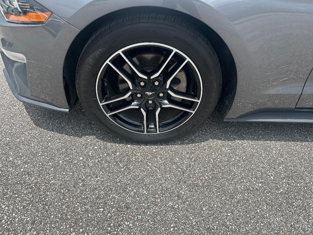 used 2021 Ford Mustang car, priced at $20,000