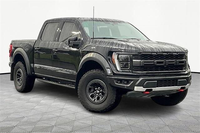 used 2023 Ford F-150 car, priced at $75,000