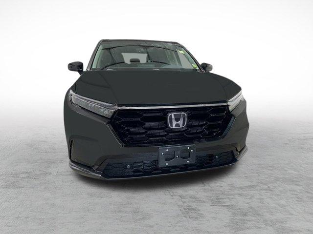 new 2025 Honda CR-V car