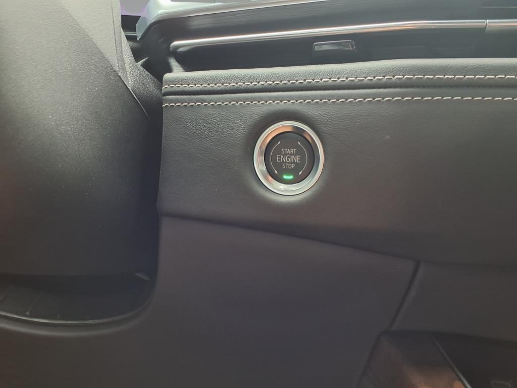 new 2025 Cadillac Escalade car, priced at $130,244