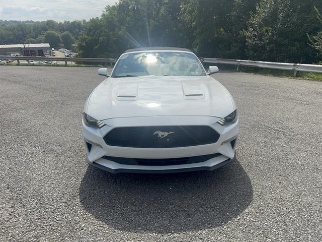 used 2022 Ford Mustang car, priced at $24,588