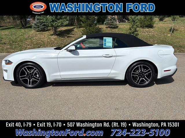 used 2022 Ford Mustang car, priced at $24,000