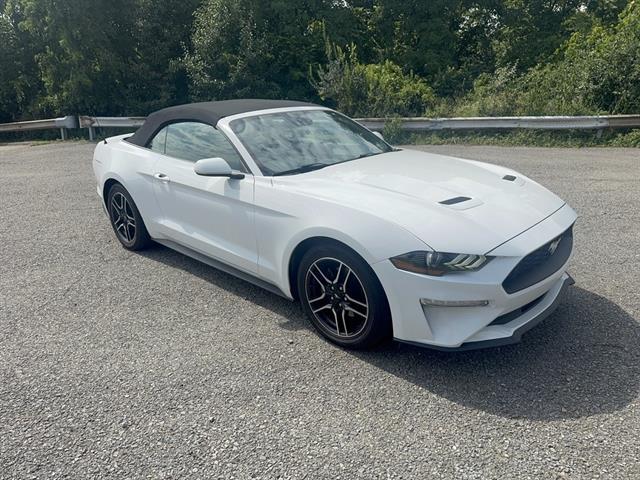 used 2022 Ford Mustang car, priced at $24,588