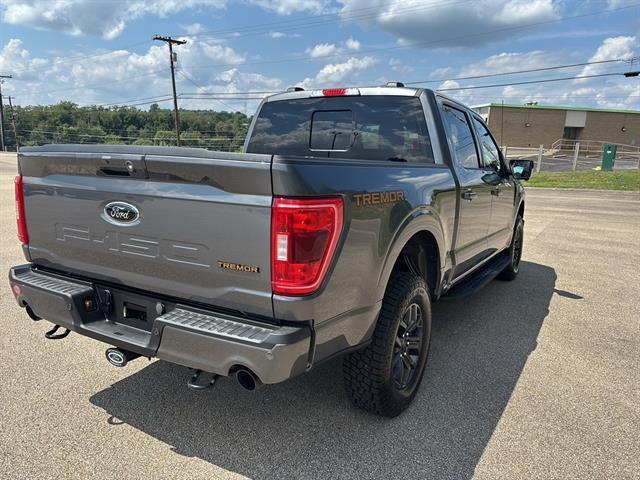 used 2023 Ford F-150 car, priced at $56,000