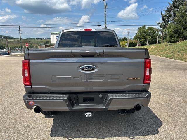 used 2023 Ford F-150 car, priced at $56,000