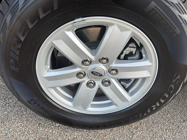 used 2023 Ford F-150 car, priced at $48,500
