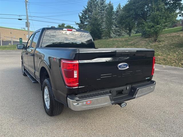 used 2023 Ford F-150 car, priced at $48,500