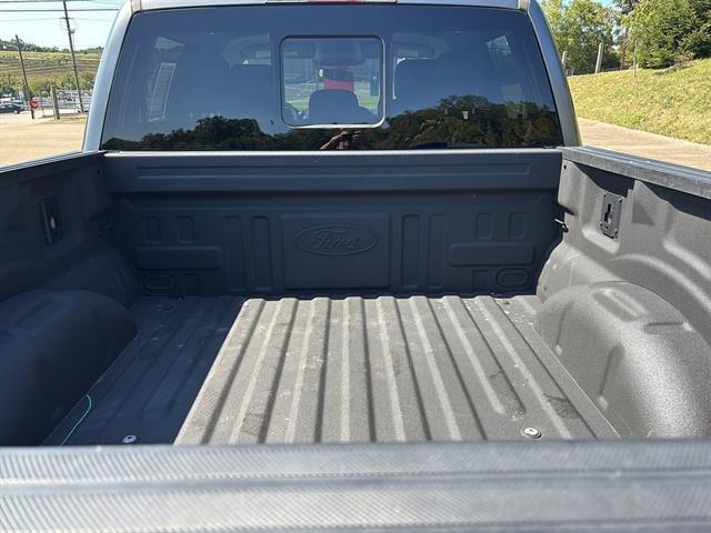 used 2024 Ford F-150 car, priced at $49,000