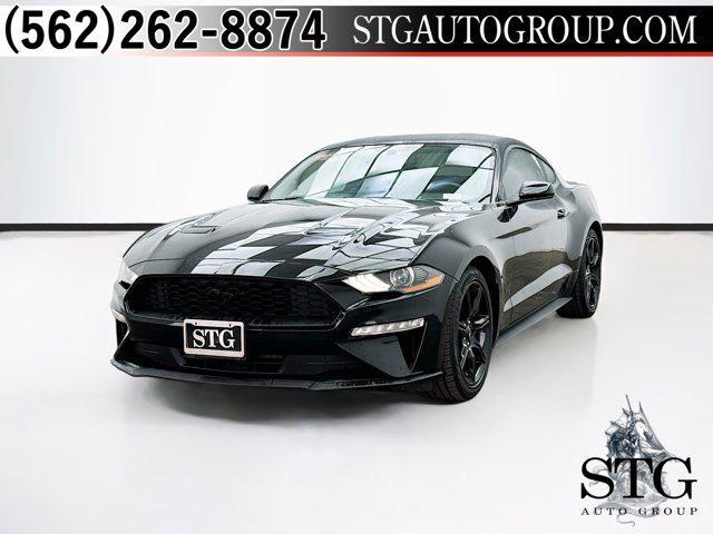 used 2019 Ford Mustang car, priced at $18,499