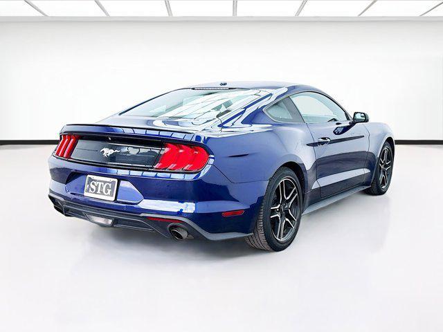 used 2019 Ford Mustang car