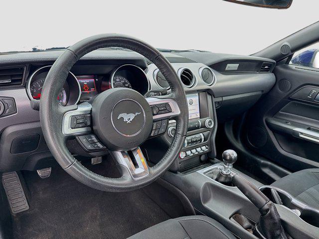used 2019 Ford Mustang car