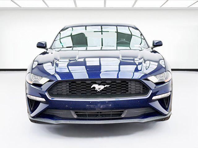 used 2019 Ford Mustang car