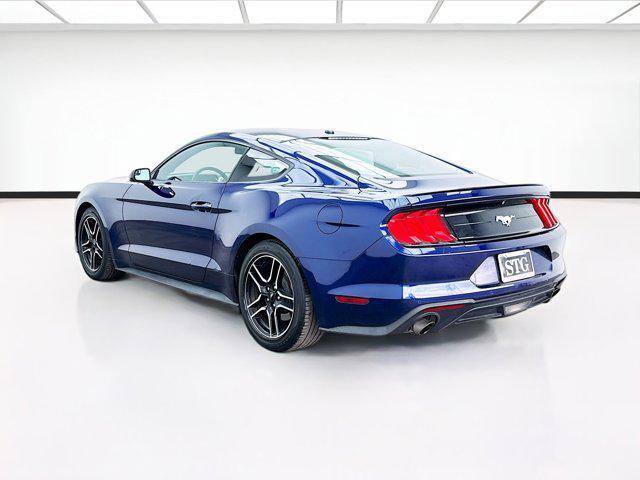 used 2019 Ford Mustang car