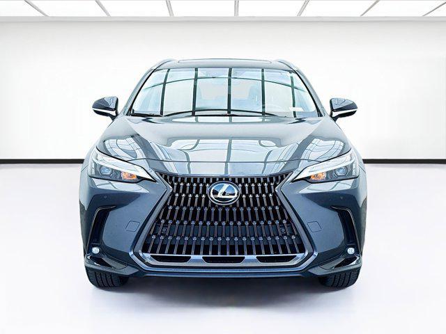 used 2024 Lexus NX 350 car