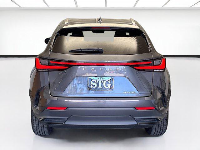 used 2024 Lexus NX 250 car