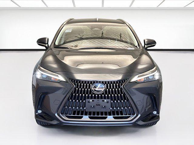 used 2024 Lexus NX 250 car
