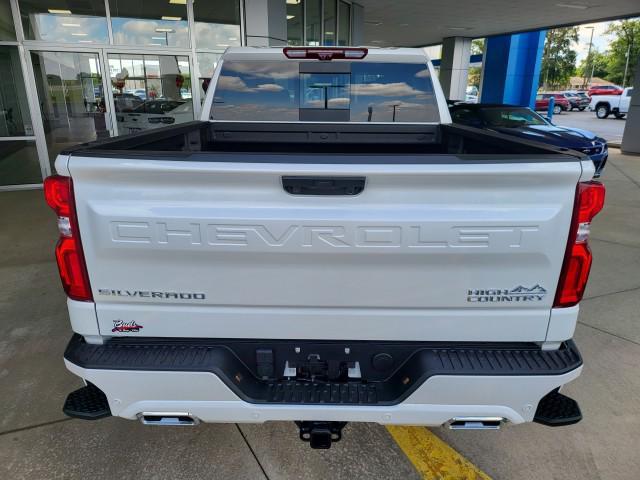 new 2024 Chevrolet Silverado 1500 car, priced at $73,720