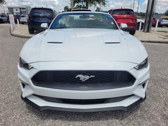 used 2019 Ford Mustang car, priced at $21,987