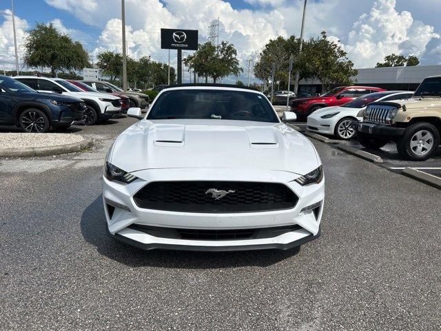 used 2019 Ford Mustang car, priced at $21,987
