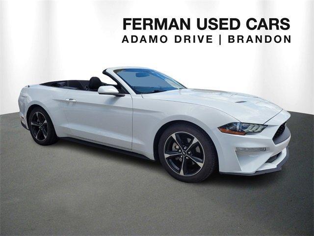used 2019 Ford Mustang car, priced at $21,987
