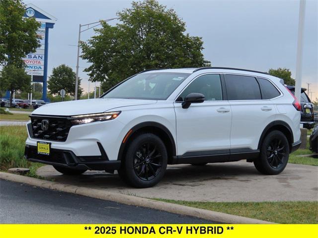 new 2025 Honda CR-V car, priced at $40,955