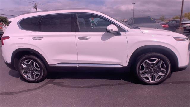 used 2023 Hyundai Santa Fe car, priced at $38,995