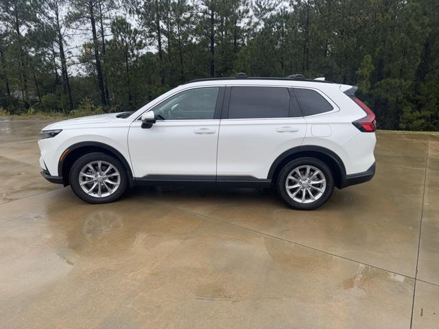 used 2025 Honda CR-V car, priced at $34,000