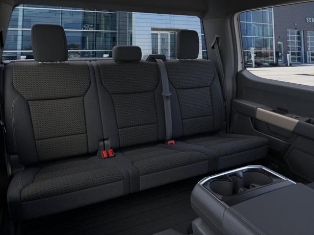 new 2025 Ford F-150 car, priced at $48,999