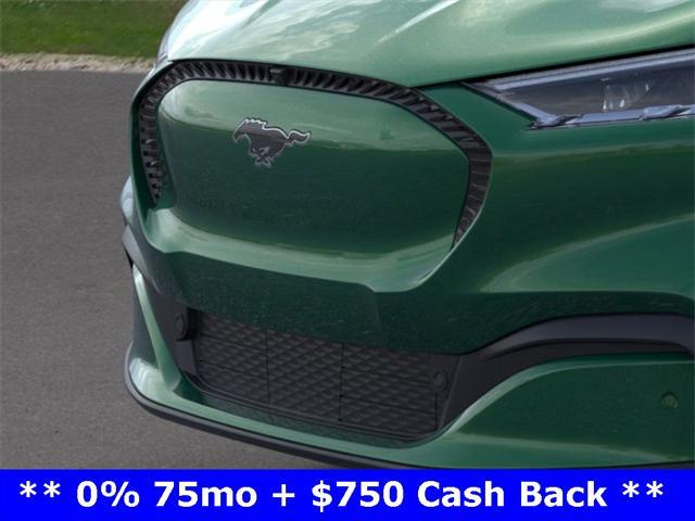 new 2024 Ford Mustang Mach-E car, priced at $43,900