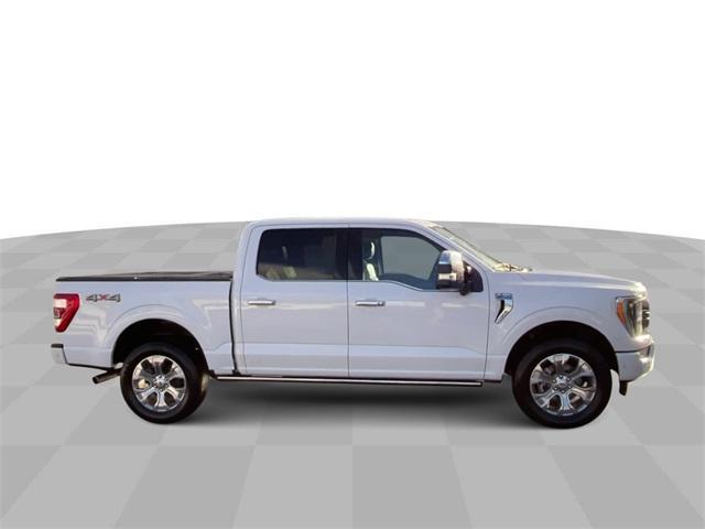 used 2023 Ford F-150 car, priced at $48,500