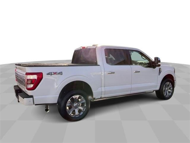 used 2023 Ford F-150 car, priced at $48,500