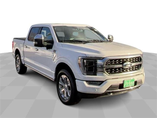 used 2023 Ford F-150 car, priced at $48,500