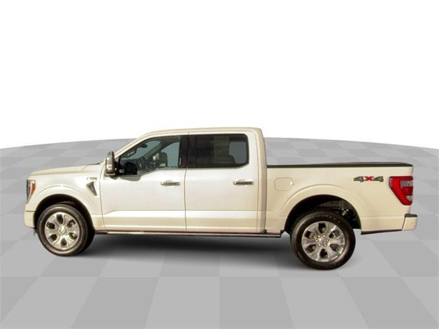 used 2023 Ford F-150 car, priced at $48,500